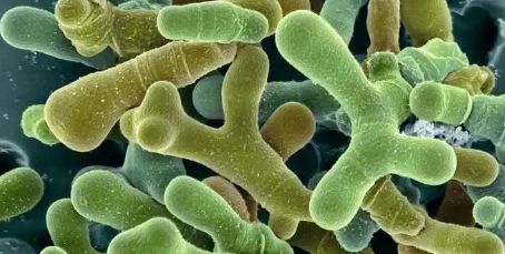 和记娱乐·H88(中国游)怡情博娱官网