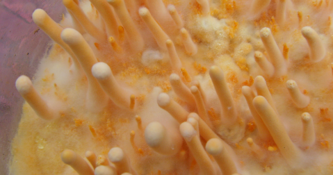 和记娱乐·H88(中国游)怡情博娱官网