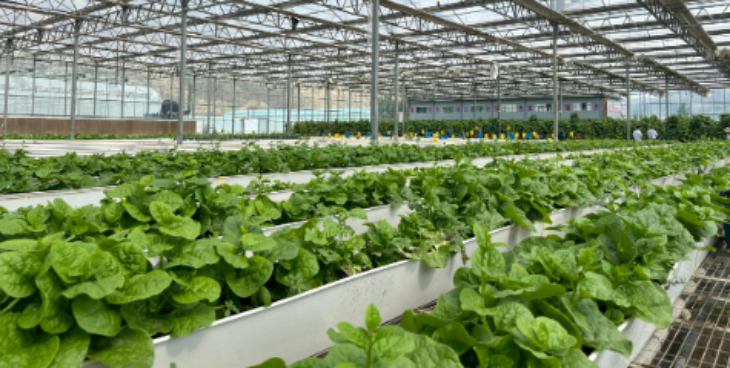 和记娱乐·H88(中国游)怡情博娱官网