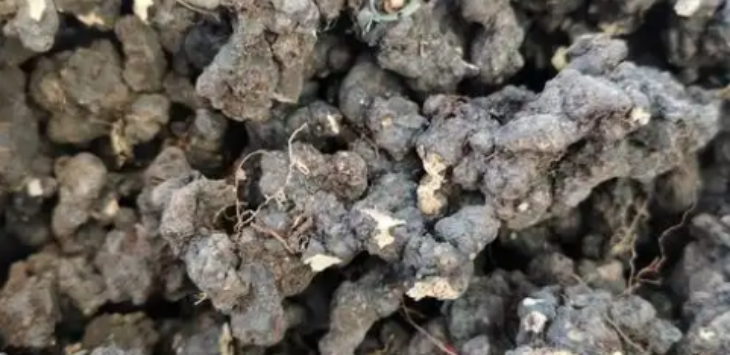 和记娱乐·H88(中国游)怡情博娱官网