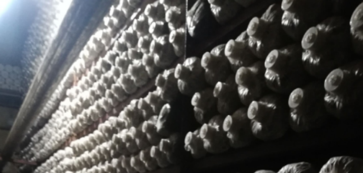 和记娱乐·H88(中国游)怡情博娱官网