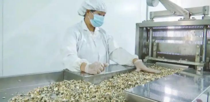 和记娱乐·H88(中国游)怡情博娱官网