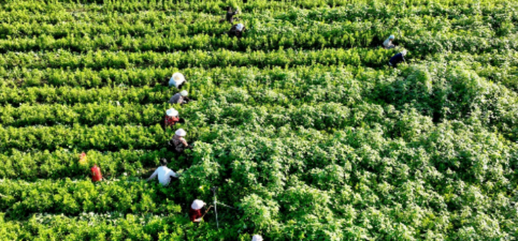 和记娱乐·H88(中国游)怡情博娱官网