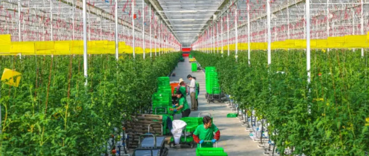 和记娱乐·H88(中国游)怡情博娱官网