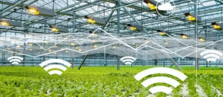 和记娱乐·H88(中国游)怡情博娱官网