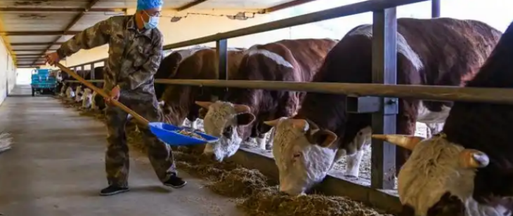 和记娱乐·H88(中国游)怡情博娱官网