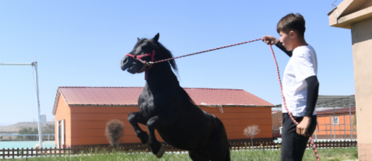 和记娱乐·H88(中国游)怡情博娱官网