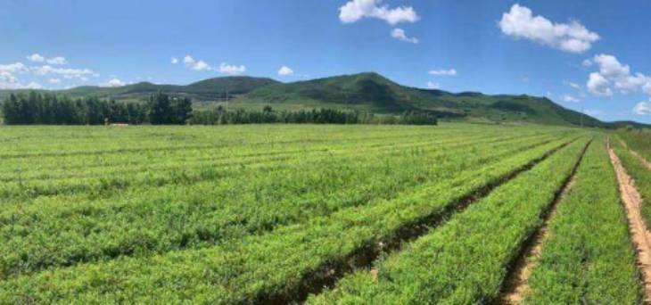 和记娱乐·H88(中国游)怡情博娱官网