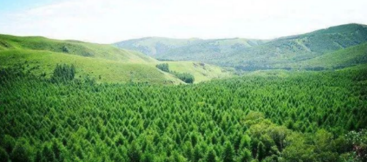 和记娱乐·H88(中国游)怡情博娱官网