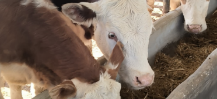 和记娱乐·H88(中国游)怡情博娱官网