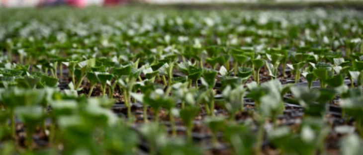 和记娱乐·H88(中国游)怡情博娱官网